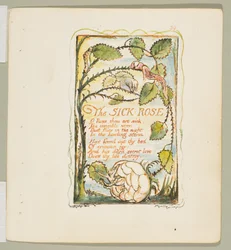 Sånger om oskuld och erfarenhet: The Sick Rose, ca. 1825.
