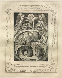 Jobs bok: Pl. 15, Se nu Behemoth som jag gjorde med dig, 1825.