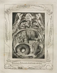 Jobs bok: Pl. 15, Se nu Behemoth som jag gjorde med dig, 1825.