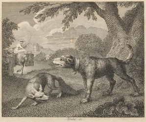 Hunden och räven