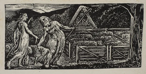 Thenot och Colinet leder sina flockar tillsammans, från Thornton