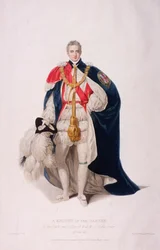 Riddare av strumpebandet i ceremoniell kostym, 1824