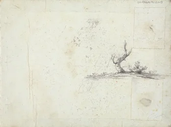 inuti främre omslaget: Sketch of a Tree (upp och ned)