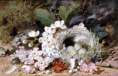Stilleben av fågelbo med Primulas