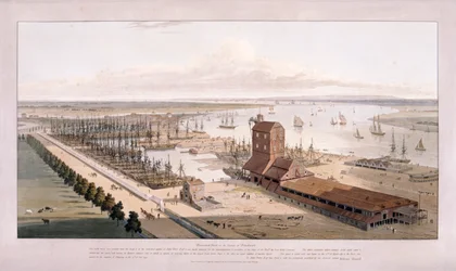 Brunswick Dock och East India Dock, Poplar, London, 1803