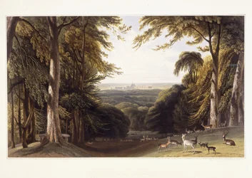 Windsor Castle från Deer Park, ca 1827-1829