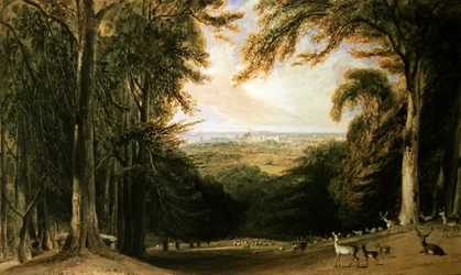 Skogbevuxen landskap, Windsor