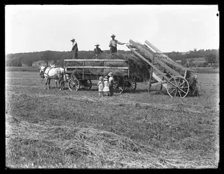 Jordbruksarbetare lastar hö på en hästdragen hövagn medan tre barn tittar på, McCready Farm, Crawford County, Pennsylvania, omkring 1913.