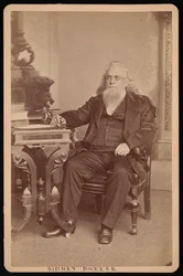 Porträtt av Sidney Breese 1800-1878, före 1878.