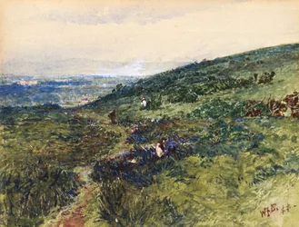 Kustscen