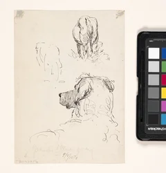 Dog (Recto), Dog And Cow (Verso) (penna och bläck på krämvävt papper)