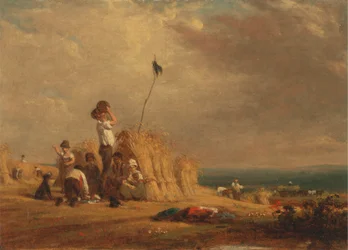 Middagsvila, skörd