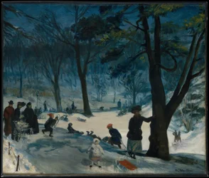 Central Park, vinter