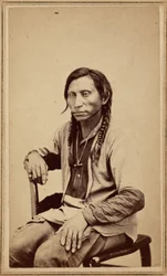 Grå varg,1860-talet (foto)