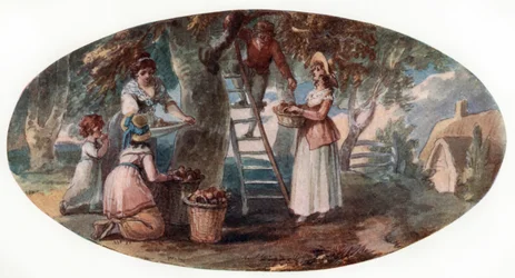 Samla frukt, sent 1700-tal.