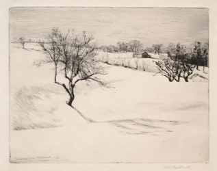The Hillside Farm