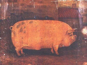 Prisgrisen Jumbo II