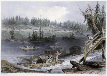 Transport du bois à "" les Chats"" - i "" kanadensiskt landskap illustrerad"" av Bartlett W. H.