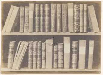 A Scene in a Library, plåt VIII från Pencil of Nature