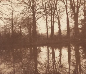 Vinterträd, reflekterade i en damm