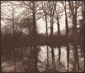 Vinterträd reflekterade i en damm