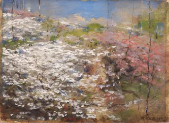 Blossoms fält, 1927.
