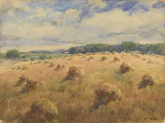 Marylands vetefält
