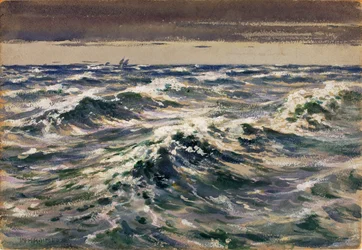 Det öppna havet