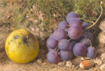 Äpple, vindruvor och en kobenöt