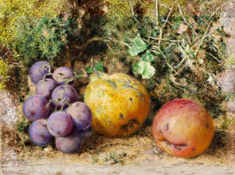 Black Grapes, Quince och Newtown Pippin, 1861 (wc på kort)