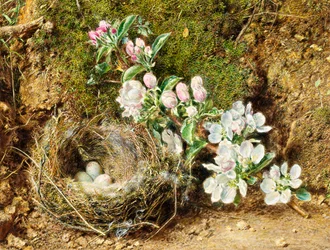 Gren av Apple Blossom och Bird