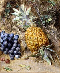 Vindruvor och en ananas (gouache på papper)