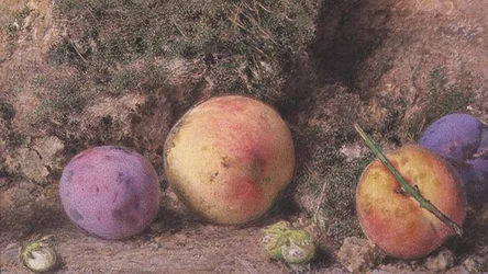 Stilleben