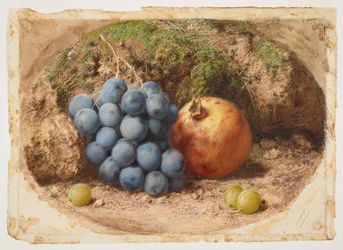 Stilleben med druvor och ett granatäpple