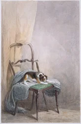Studie av en hund på en stol (akvarell på papper)