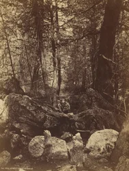 The Trail i West Gallatin Cañon, ca. 1870-talet.