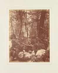 Stigen i skogen, Gallatin Cañon