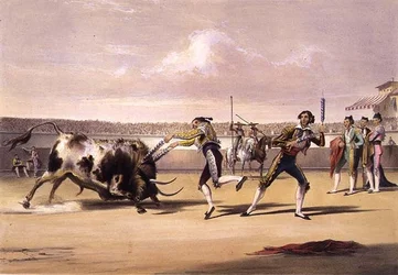 Banderillas