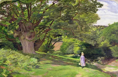 Hayes Common, 1852-53