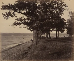 Cayuga Lake, Sheldrake,ca. 1895 (foto)