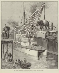 Looshai-expeditionen, fraktar elefanter ombord på Simla i Calcutta