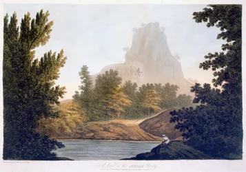 View of the Jungle, 1788 (akvatint)