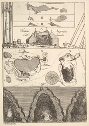 Sahlensis - En silvergruva i Sala - I från Aubry de La Mottrayes Tra..., 1723-24.