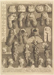 The Five Orders of Periwigs, 1761.