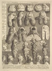 The Five Orders of Periwigs, 1761.