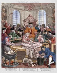 The Reward of Cruelty, en lektion i anatomi 1750 av Hogarth (gravyr)
