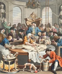 Grymhetens belöning, från Grymhetens fyra stadier, illustration från "Hogarth Restored: Hela verken av den berömde William Hogarth, ingraverad av Thomas Cook", pub. 1812 (handfärgad gravyr)