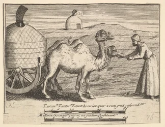 Två dromedärer Aubry de La Mottrayes reser genom Europa, Asien och in i del ..., 1723-24.