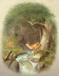 En försiktig överfart
