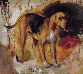 En studie av en blodhund